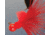 Hawken Outdoors Aerojig Marabou Jig 1/4 oz, 1/0 Hook, Red, AJM14122