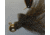 Hawken Outdoors Aerojig Marabou Jig 1/8 oz, Number 1 Hook, Black, AJM18101
