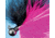 Hawken Outdoors Fire Flies Marabou Flash Jig, 1/4 oz, 1/0 Hook, Black &amp; Pink with Red Micro Light Stick, FFM14010