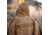 Hazard 4 V20 PonchoVilla Softshell Poncho, Coyote, One Size, APR-PNV20-CYT