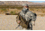 Hazard4 Evac Plan-B Sling Pack, Coyote, EVC-PLB-CYT