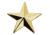 1 Star Pin 1/2'' High - Pair