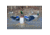 Higdon Outdoors 53077 XS Splashing Flasher Mallard Drake Multi Color Rechargeable