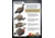 Higdon Outdoors Hard Body 1/4 Strut Jake Turkey Decoy, 63144