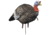 Higdon Outdoors Hard Body 1/4 Strut Jake Turkey Decoy, 63144