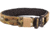 High Speed Gear Operator Belt 1.75 - 31OVX0MC