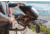 HitchFire F-20 Propane Driver Side Gas Grill, Black, Large, HFG01F2001DRS