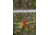 Hooyman Hot Zone Garden Fence, Black, 1099106