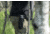Hooyman Saws Megabite Hunters Combo W/ Bone/Wood Handsaw, Black/Green, 110143