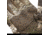 Huntworth Ansted Mid Weight Plush Fleece Lined Hunting Glove - Mens, Tarnen, Extra Large, E-1207-TRN-XL
