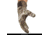 Huntworth Ansted Mid Weight Plush Fleece Lined Hunting Glove - Mens, Tarnen, Extra Large, E-1207-TRN-XL