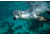 iCanvas Australian Sea Lion Underwater Portrait, South Australia by Hiroya Minakuchi Canvas Print, Multi, 18x12 HIM6-1PC3-18x12