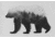 iCanvas Bjorn I in B&amp;W by Andreas Lie Canvas Print, Multi, 18x12 ALE111-1PC3-18x12