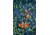 iCanvas Clown Anemonefish Pair In Sea Anemone Tentacles, Celebes Sea by Hiroya Minakuchi Canvas Print, Multi, 18x12 HIM13-1PC3-18x12