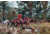 iCanvas Foxhunt by Marilyn Hageman Canvas Print, Multi, 18x12 WAC4178-1PC3-18x12