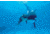 iCanvas Orca Mother And Newborn Baby, Sea World, Kamogawa, Japan by Hiroya Minakuchi Canvas Print, Multi, 18x12 HIM23-1PC3-18x12
