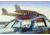 iCanvas 'Surf's Up' - Beach Boys' Ford DeLuxe Country Squire Woodie by Car Culture Canvas Print, Multi, 18x12 CCU55-1PC3-18x12
