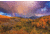 iCanvas The Real Gold Of Colorado! by William Sherrell Canvas Print, Multi, 18x12 SHL212-1PC3-18x12