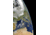 iCanvas View Of The Western Mediterranean With Visible Smoke In The by Stocktrek Images Canvas Print, Multi, 18x12 TRK1764-1PC3-18x12