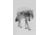 iCanvas Wolf In The Woods II in B&amp;W by Andreas Lie Canvas Print, Multi, 18x12 ALE138-1PC3-18x12