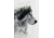 iCanvas Wolf Stare by Andreas Lie Canvas Print, Multi, 18x12 ALE189-1PC3-18x12