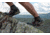 Inov-8 Roclite 345 GTX Hiking Shoe - Mens, Black, 11 US, 000802-BK-M-01-M11