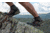 Inov-8 Roclite 345 GTX Hiking Shoes - Mens, Brown/Red, M9, 000802-BRRD-M-01-9
