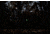 Killer Instinct Deadstop Decocking Crossbow Bolt, 1066