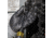 Klein Tools 15in1 Multi-Bit Ratcheting Screwdriver, Black/Yellow, 32305