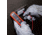 Klein Tools AC/DC Voltage Tester Electronic, ET40