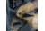 Klein Tools Screwdriver w/32-Piece Tamperproof Bit Set Magnetic, 32510