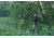 Kowa TSN-99A Pure Fluorite Spotting Scope with TE-11WZ II 30-70x Zoom Eyepiece, Angled, Green, TSN-99A ZM SET