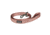 Kuma Outdoor Gear Lazy Bear Dog Leash