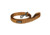 Kuma Outdoor Gear Lazy Bear Dog Leash