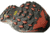 La Sportiva Ultra Raptor Trailrunning Shoes - Mens, Black/Yellow, 42.5 EU, 16U-by-42.5