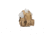 Lancer Tactical 1000D Nylon Strike Tactical Vest, Coyote Brown, CA-303KN