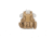 Lancer Tactical 1000D Nylon Strike Tactical Vest, Coyote Brown, CA-303KN
