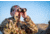 Leica Geovid R 10x42mm Rangefinder Binocular, LED, Black, 40812