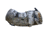 LensCoat Swarovski BTX Eyepiece Module, Realtree Edge, SSSWBTXeg