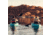 Lifetime Products Guster 100 Sit-Inside Kayak