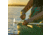 Lifetime Products Guster 100 Sit-Inside Kayak