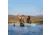Lifetime Products Tamarack 100 Sit-On-Top Kayak w/Paddle