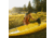 Lifetime Products Volt 85 Sit-On-Top Kayak
