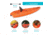 Lifetime Products Volt 85 Sit-On-Top Kayak