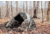 LiteFighter Gear Shelter Rainfly Tent - 1 Person