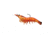 Live Target Rigged Shrimp Soft Plastic,pnk shrimp,2/0 SSF100SK915