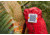 LuminAID Survivor Solar Lantern w/Dual Phone Charger, White, 0196-0350