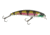 Lunkerhunt Impact Distress 6F Bait, Blue Cheek, 3.5in &amp; 1/2 oz, IMJKB08
