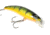 Lunkerhunt Impact Distress 6F Bait, Jumbo, 3.5in &amp; 1/2 oz, IMJKB04