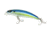 Lunkerhunt Impact Distress 6F Bait, Sassy, 3.5in &amp; 1/2 oz, IMJKB01